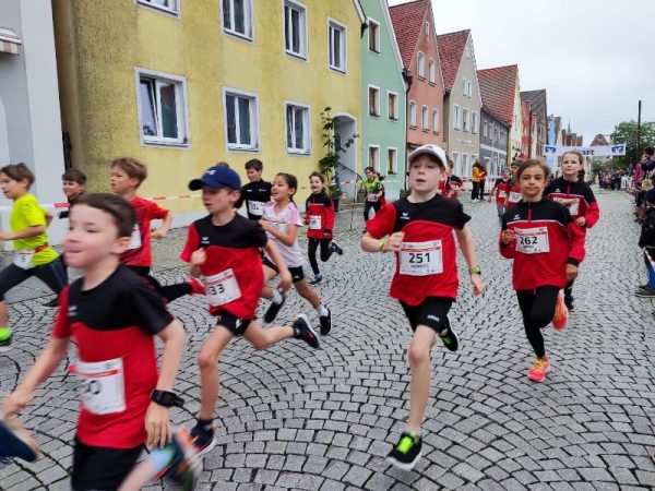 29. Freystädter Volksfestlauf, Foto 2 von 7